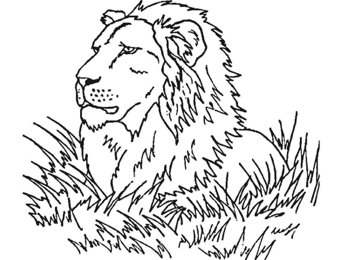 Tranh tô màu con sư tử 8