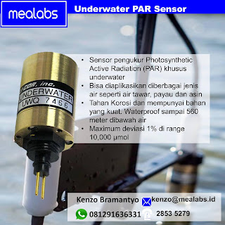 Mengukur PAR (Photosynthetic Active Radiation) di bawah air