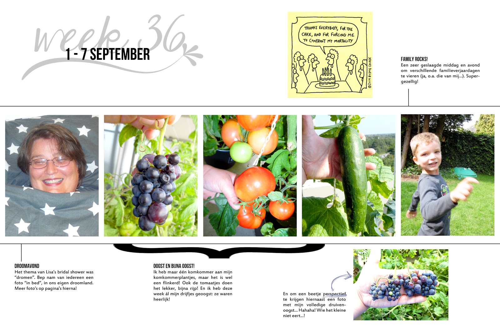 Project Life 2014 Double Page Layout Week 36