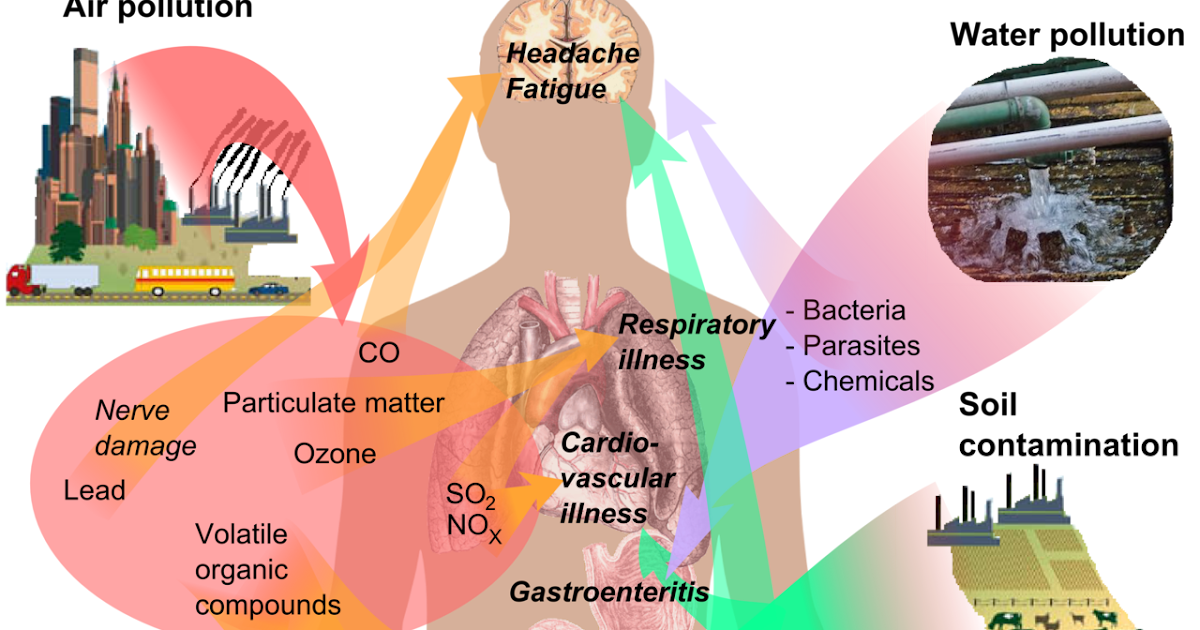 Impact of Plastics on Human Health