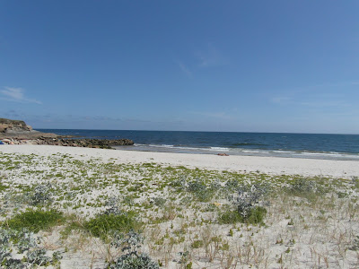 Rutas de León con buen ánimo: RUTA DEL RÍO OURO (FOZ- LUGO)