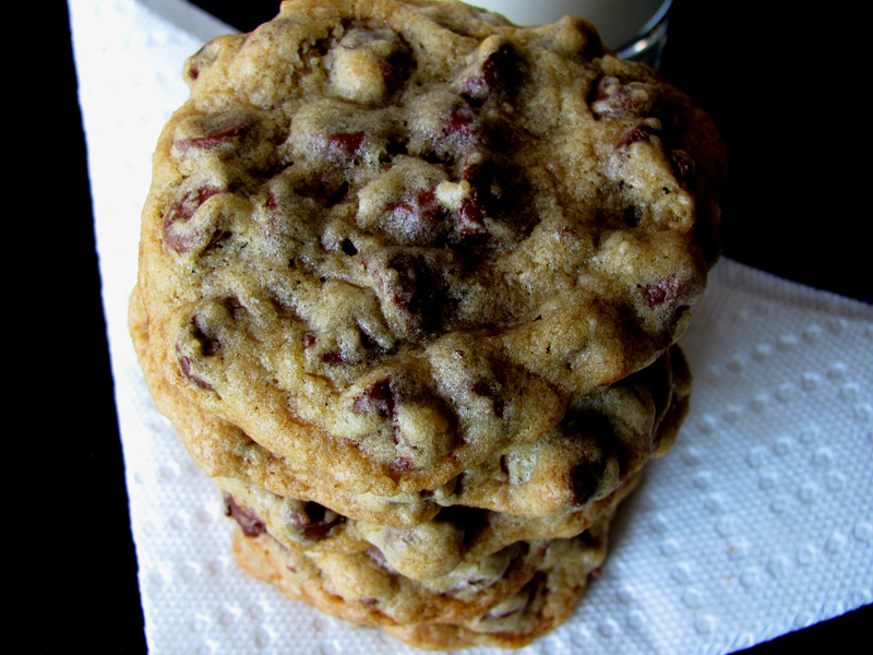 Bring Me Sugar ChockFull of Chocolate Chips