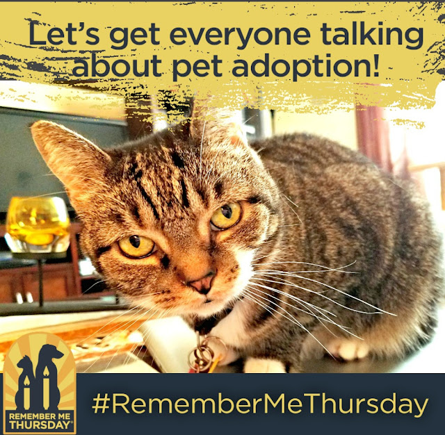Remembe Me Thursday|Helen Woodward Animal Center