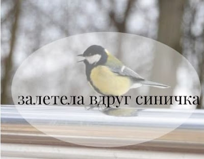 залетела синица в окно синица в окне