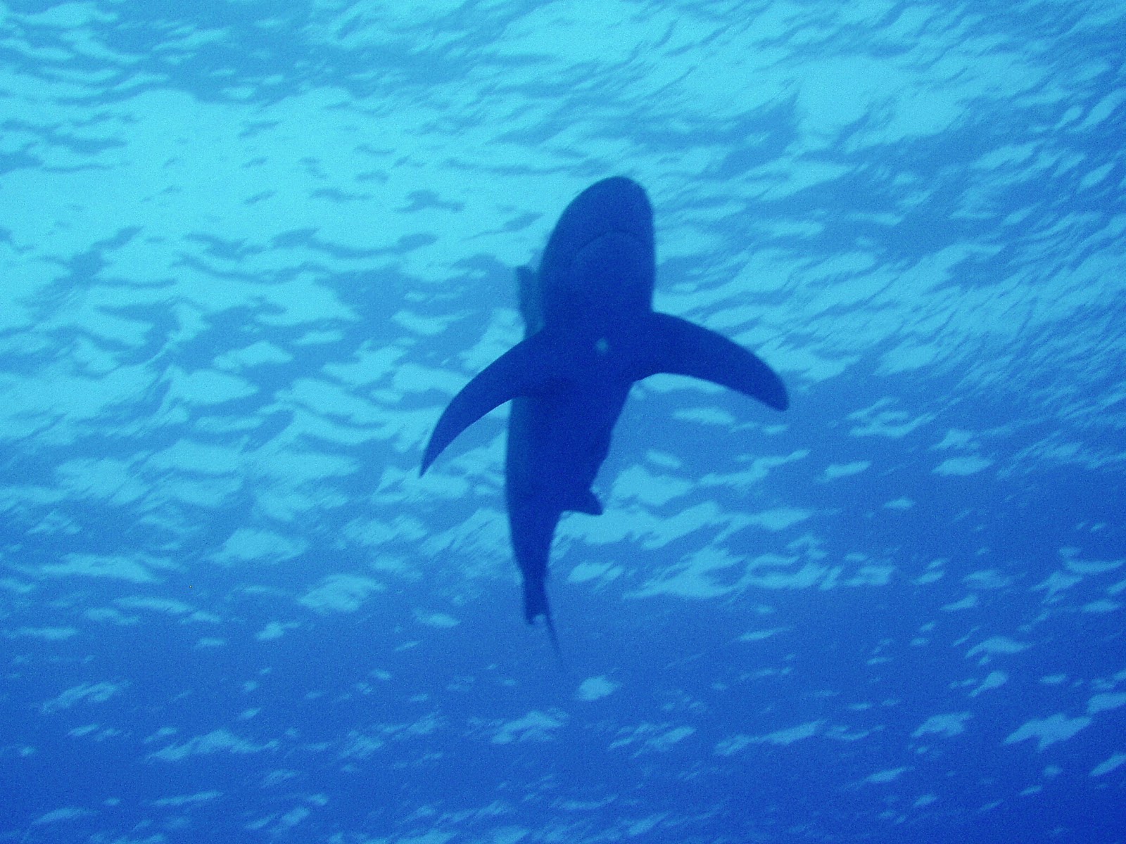Mis Viajes...: Al Mar Rojo Vivo (6)