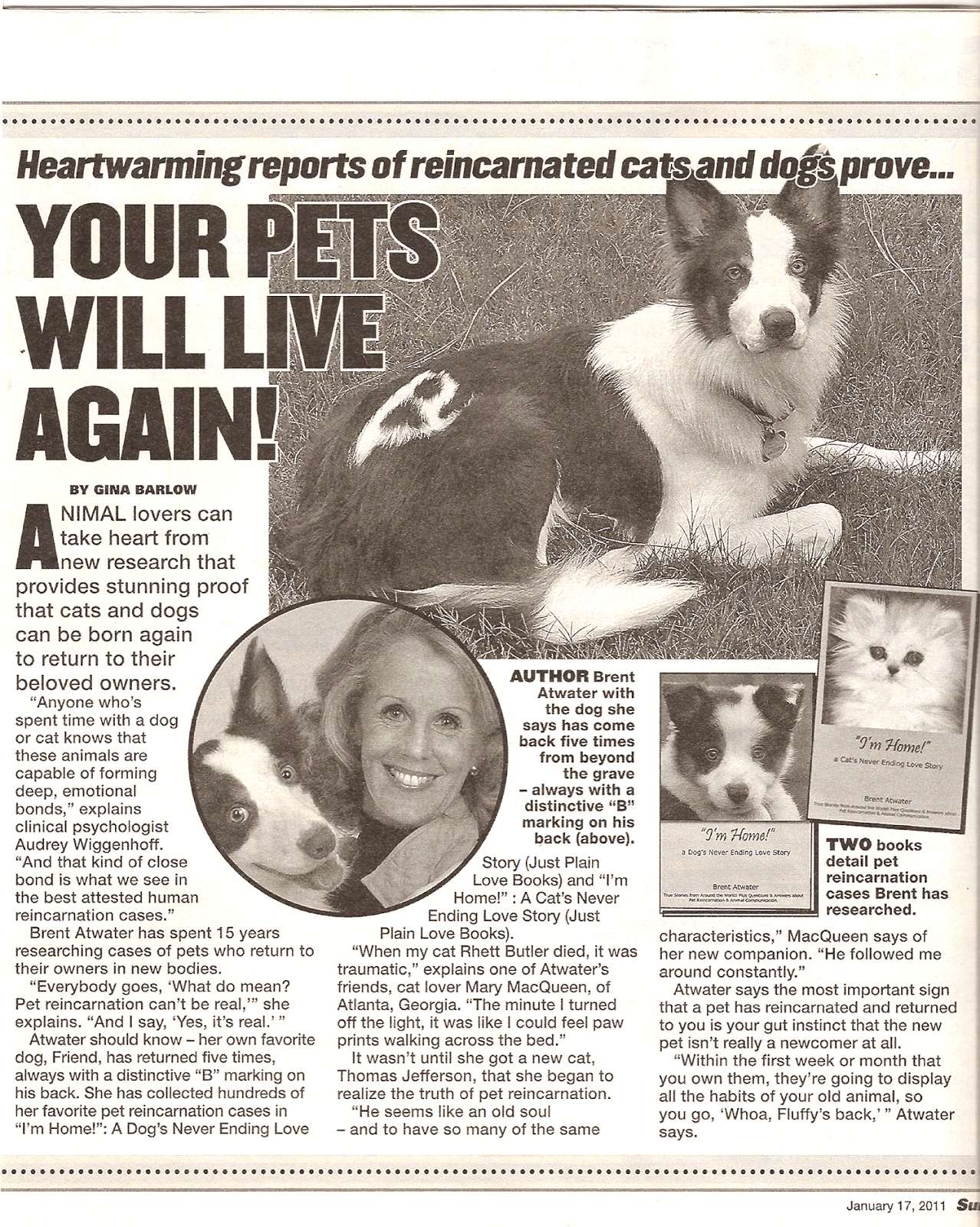 Can your pet be Reincarnated? a Pet's Purpose in Multiple lives