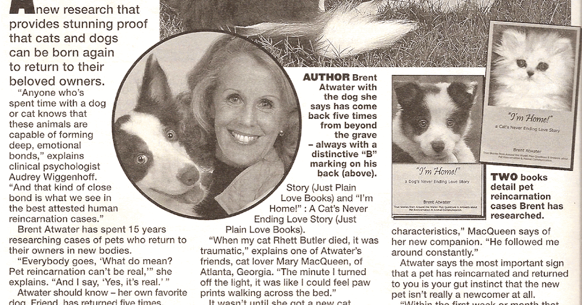 Can your pet be Reincarnated? a Pet's Purpose in Multiple lives