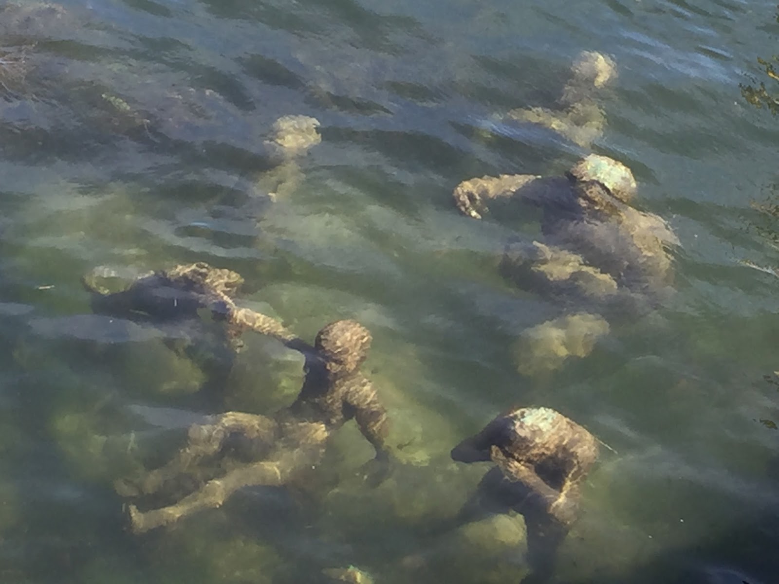 Splash of Yellow Top things to see and what tours to join in Copenhagen