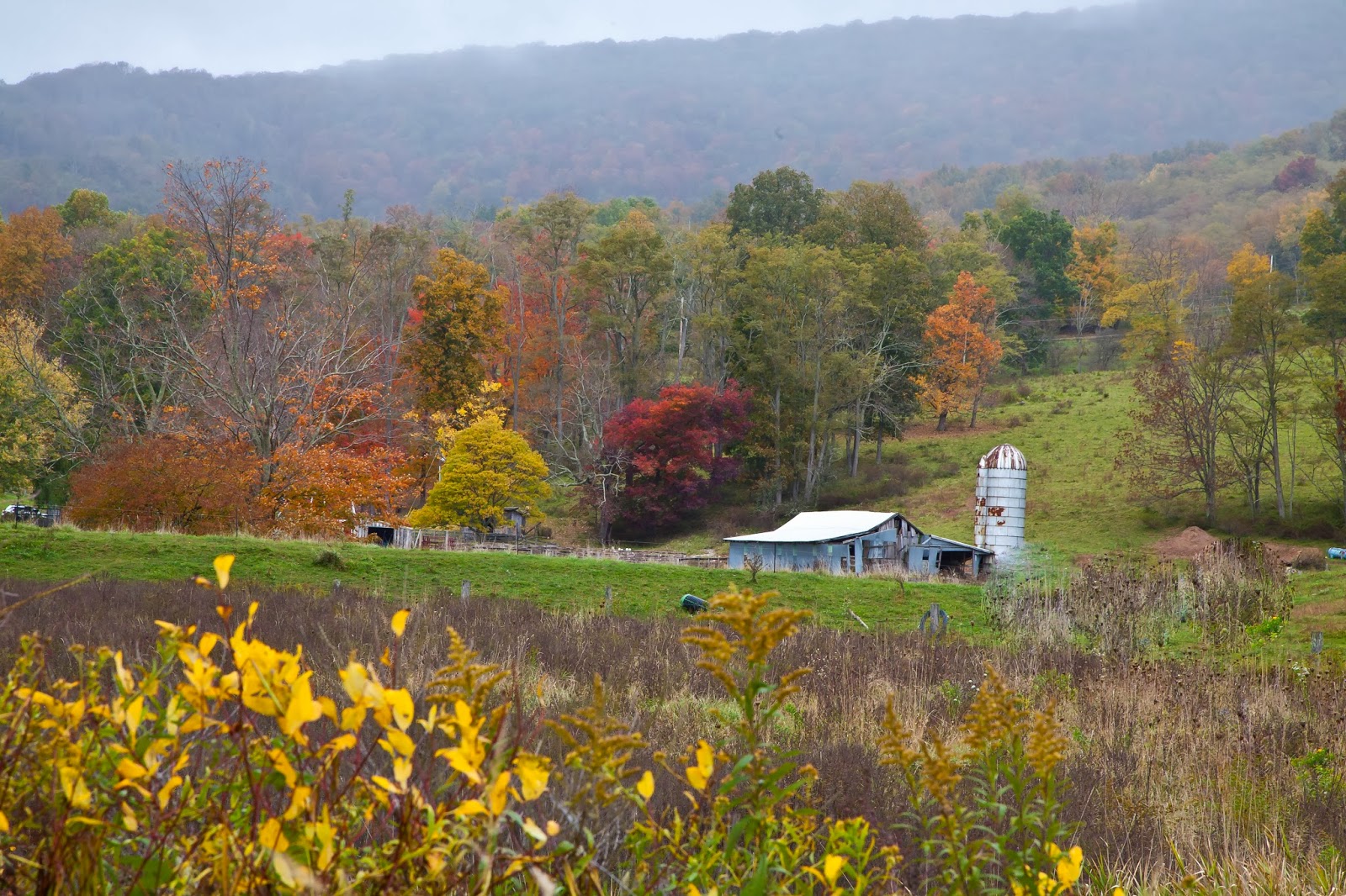 Lincoln's Domain Near Dolly Sods, West Virginia