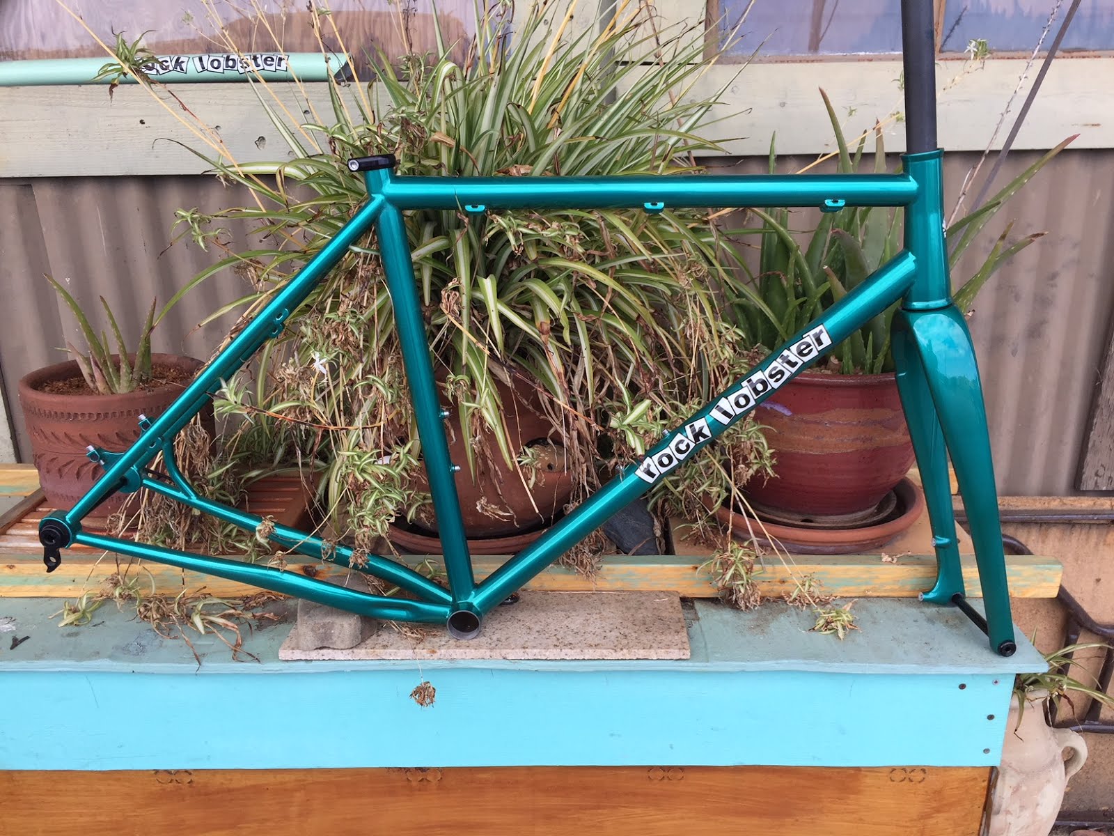 what's up in Santa Cruz Steel gravel bike for L.A.