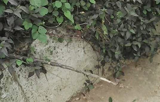 dead baby benin city edo state