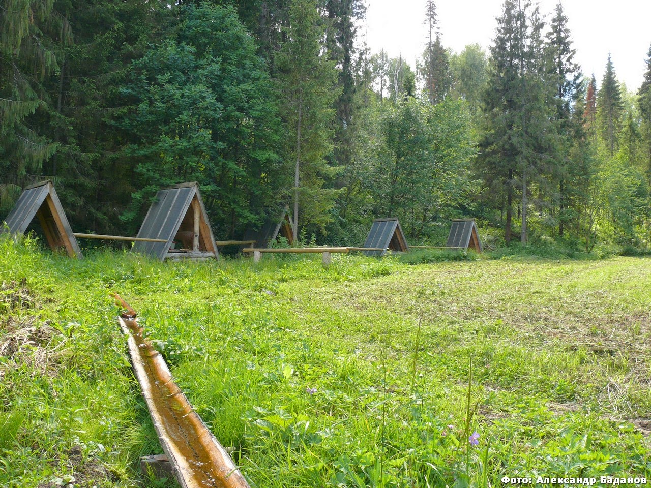 Деревня Визимбирь Куженерский район