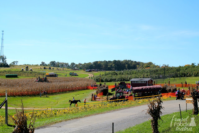From apple and pumpkin picking to hayrides and a corn maze, there is fall fun for the entire family at Triple B Farms in Pennsylvania.