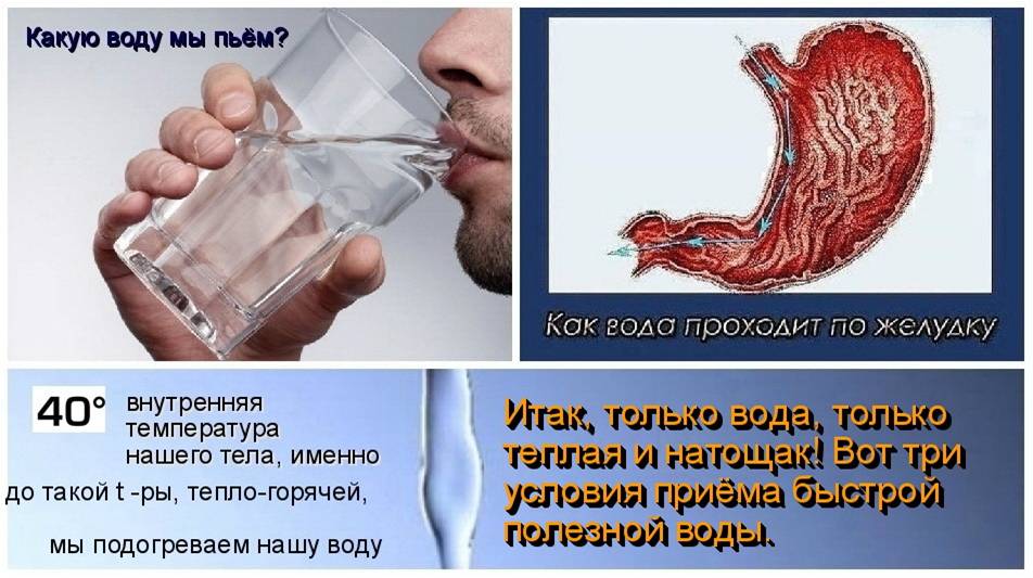 Вода выходит обратно. Как проходит вода в желудке. Вода проходит через желудок. Путь воды по организму человека.