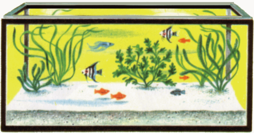 clipart fish tank - photo #39
