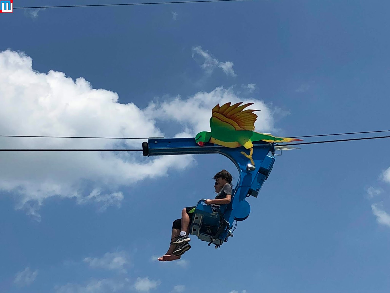 MidwestInfoGuide Waterfront Zipline (Parakeet Pete's)