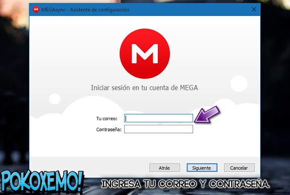 megasyncsetup 32 bit download megasyncsetup 32 bit download