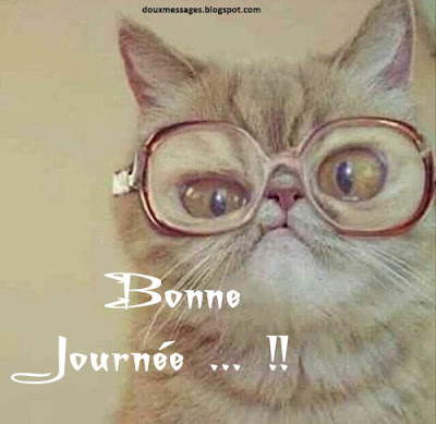 Afficher l'image d'origine