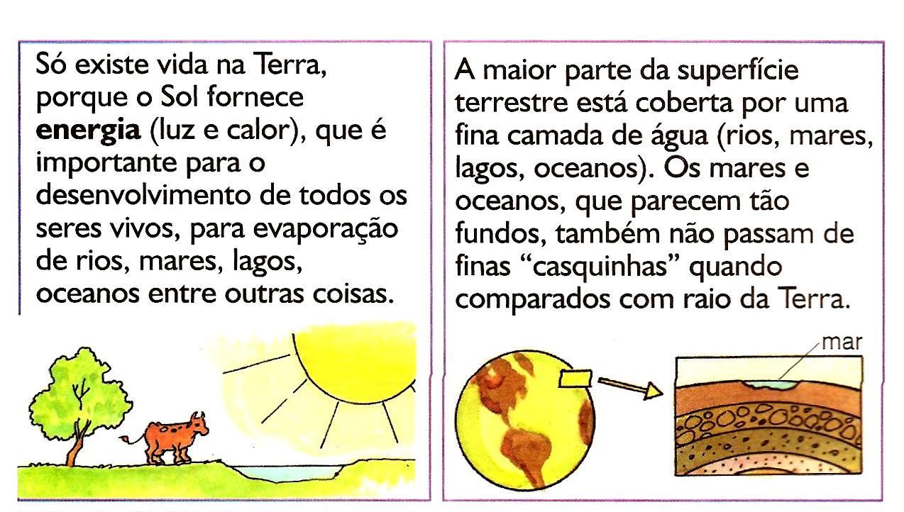 TEIA DA VIDA CONHECER PARA PRESERVAR! TERRA