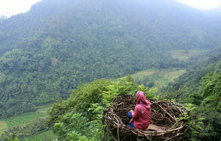 15 Gambar Wisata Gumuk Reco Banyubiru Semarang Htm Dan Rute 15 Gambar Wisata Gumuk Reco Banyubiru Semarang Htm Dan Rute