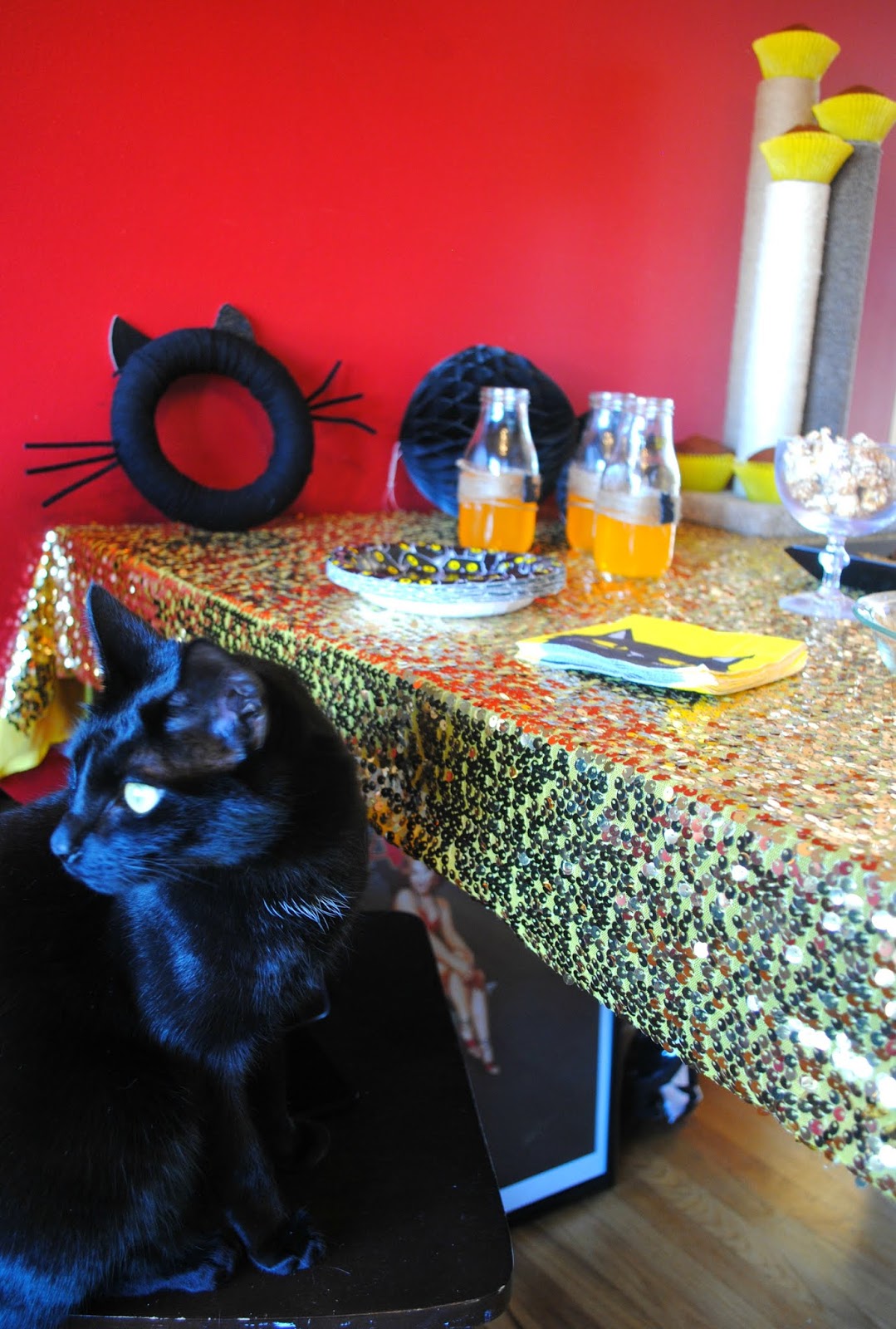 Fizzy Party Halloween Party Black Cats and Pumpkins