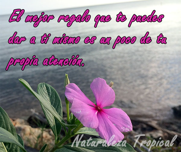 El mejor regalo que te puedes dar a ti mismo es un poco de tu propia atención.