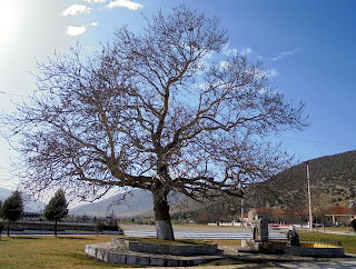 κρήνη στην είσοδο της Καλαμιάς Κοζάνης