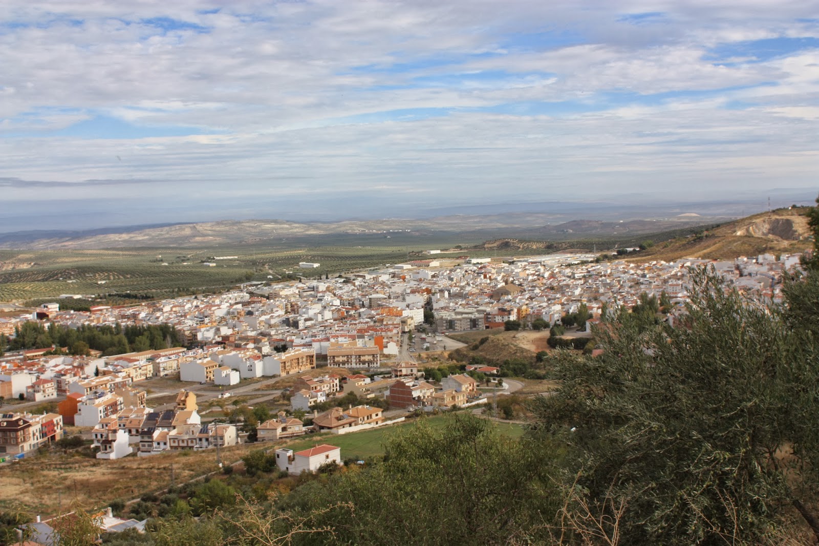 El mundoblog de Miguel Caballero Torredelcampo, el bosque encantado