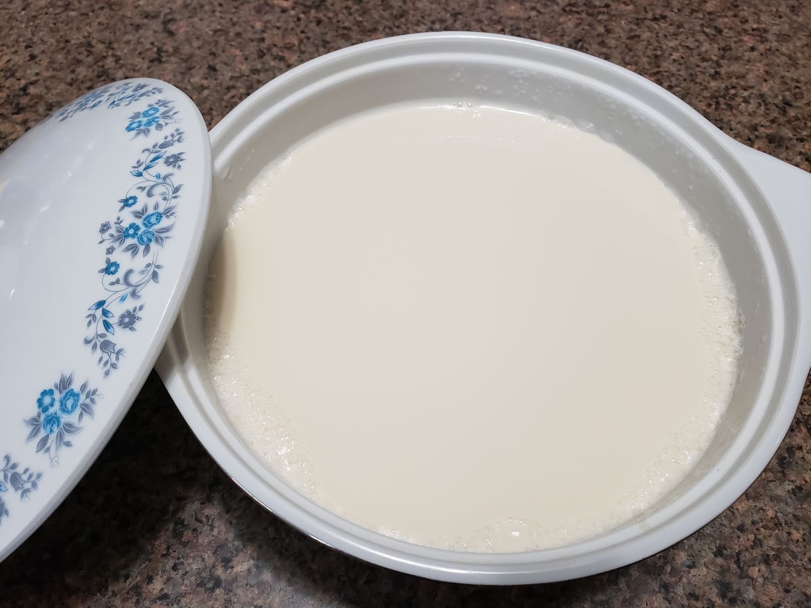 Kristy's Corner Tofu Fa/Douhua/Soybean Custard using GDL