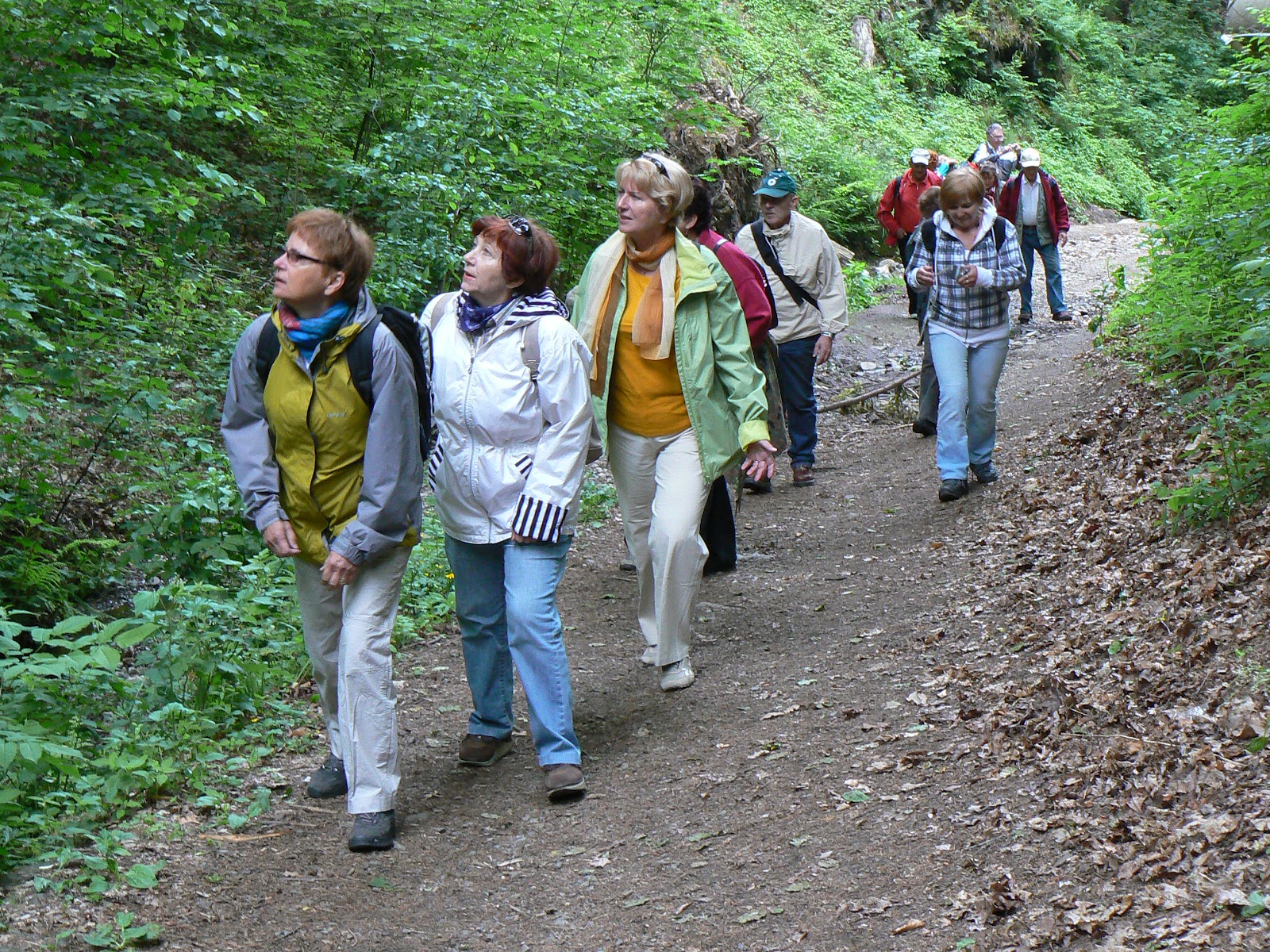 Uczniowie Wraz Z Nauczycielem Wybierają Się Na Wycieczkę W Pieniny UTW AWF WE WROCŁAWIU: Wycieczka w Góry Bardzkie