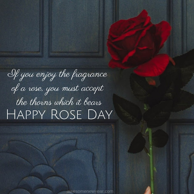 Rose Day Quotes for boyfriend