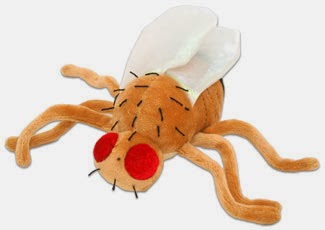 A photograph of a A plush toy based on Drosophila melanogaster. 