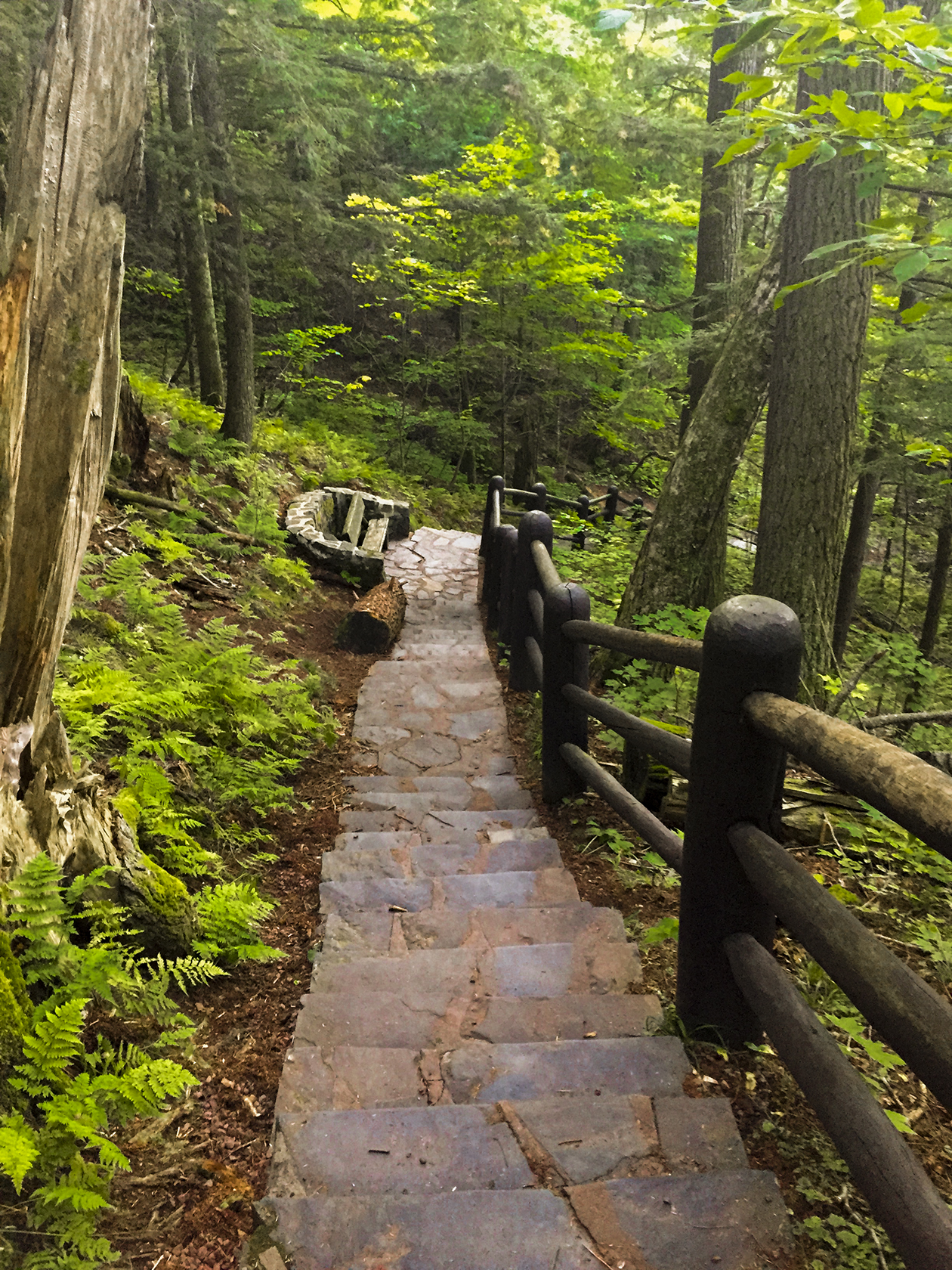 Along the Doughboy's Trail - Copper Falls State Park WI