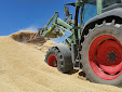 Cereal harvesting days... machinery has changed a lot / Cosecha de cereales... mucho ha cambiado la maquinaria