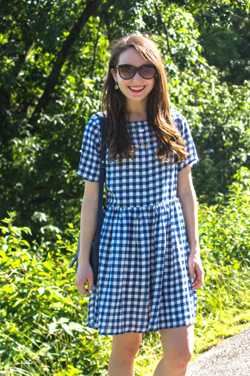 Blue Gingham on the Blue Ridge Parkway | Caralina Style