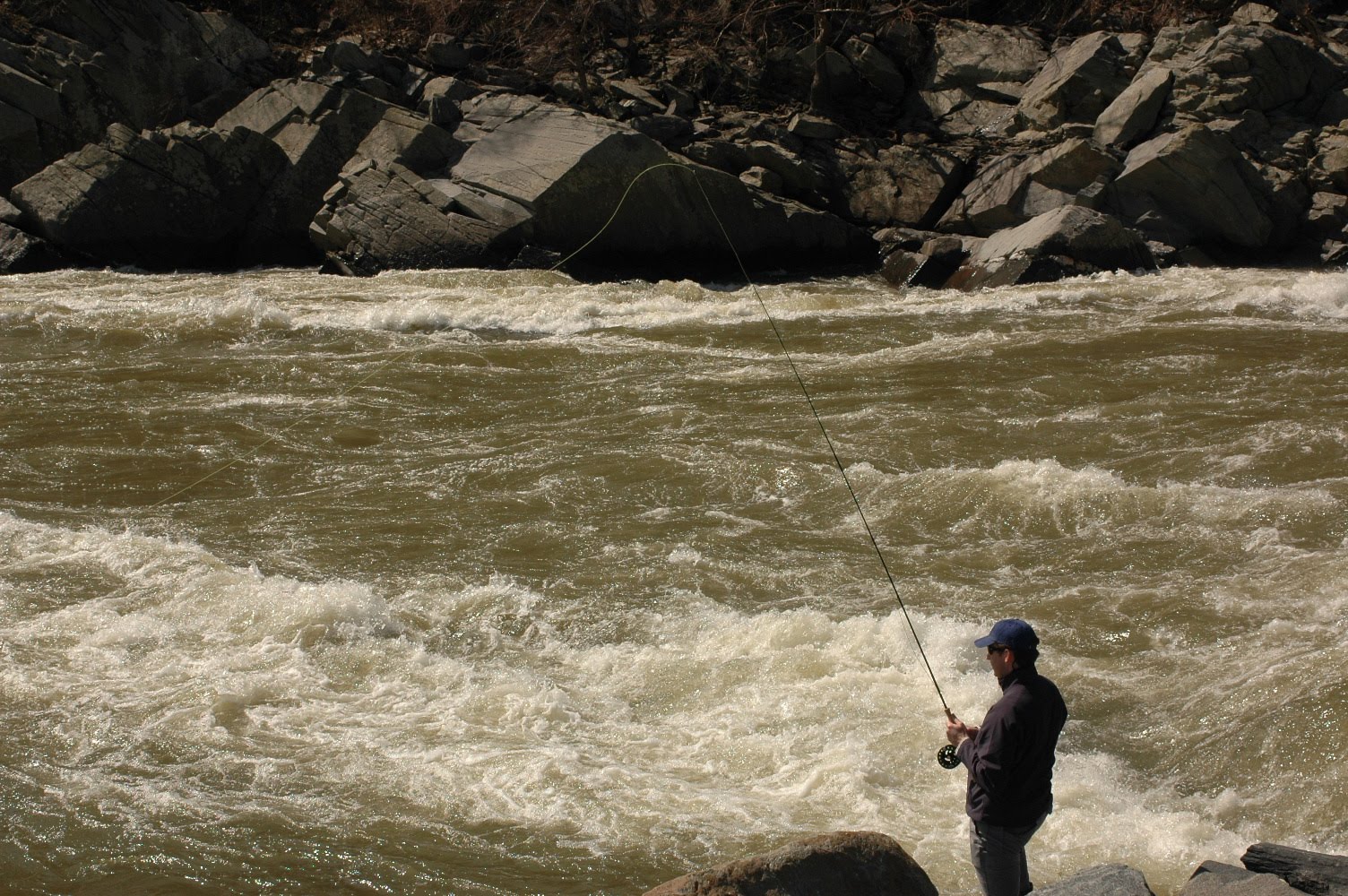 Fin 'n Feather Fishing Report Potomac River, Washington DC