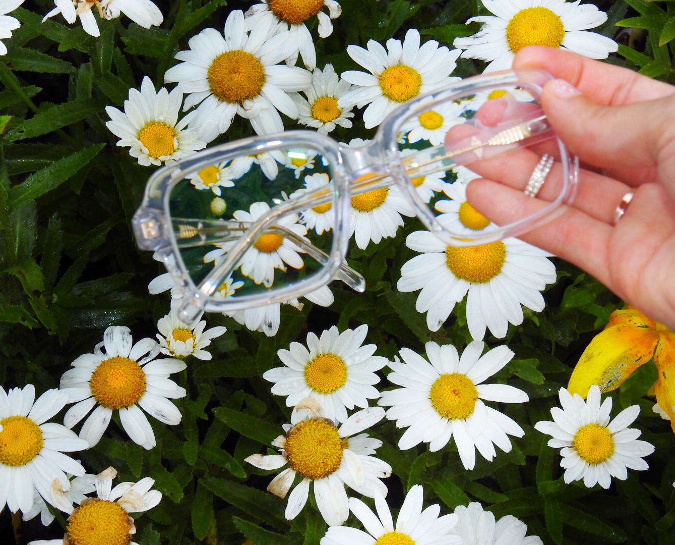 Spectacles You'll Love: ft Coastal Eyewear — The Yellow Spectacles