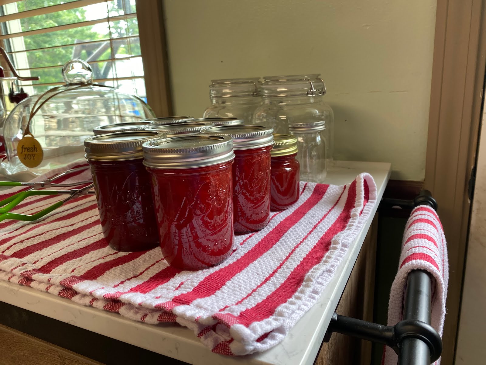 Marci's Down Home Cooking Rhubarb Cinnamon Jam Recipe