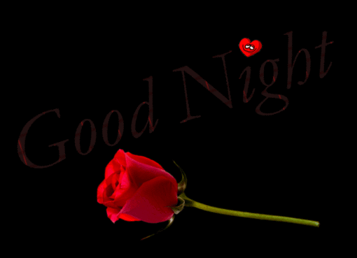 Good Night Wishes In 2018 Special And New Gifs Wallpapersimages