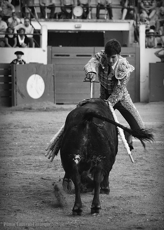 PhOtAuRiNeS Plaisance du Gers Novillada sans picador