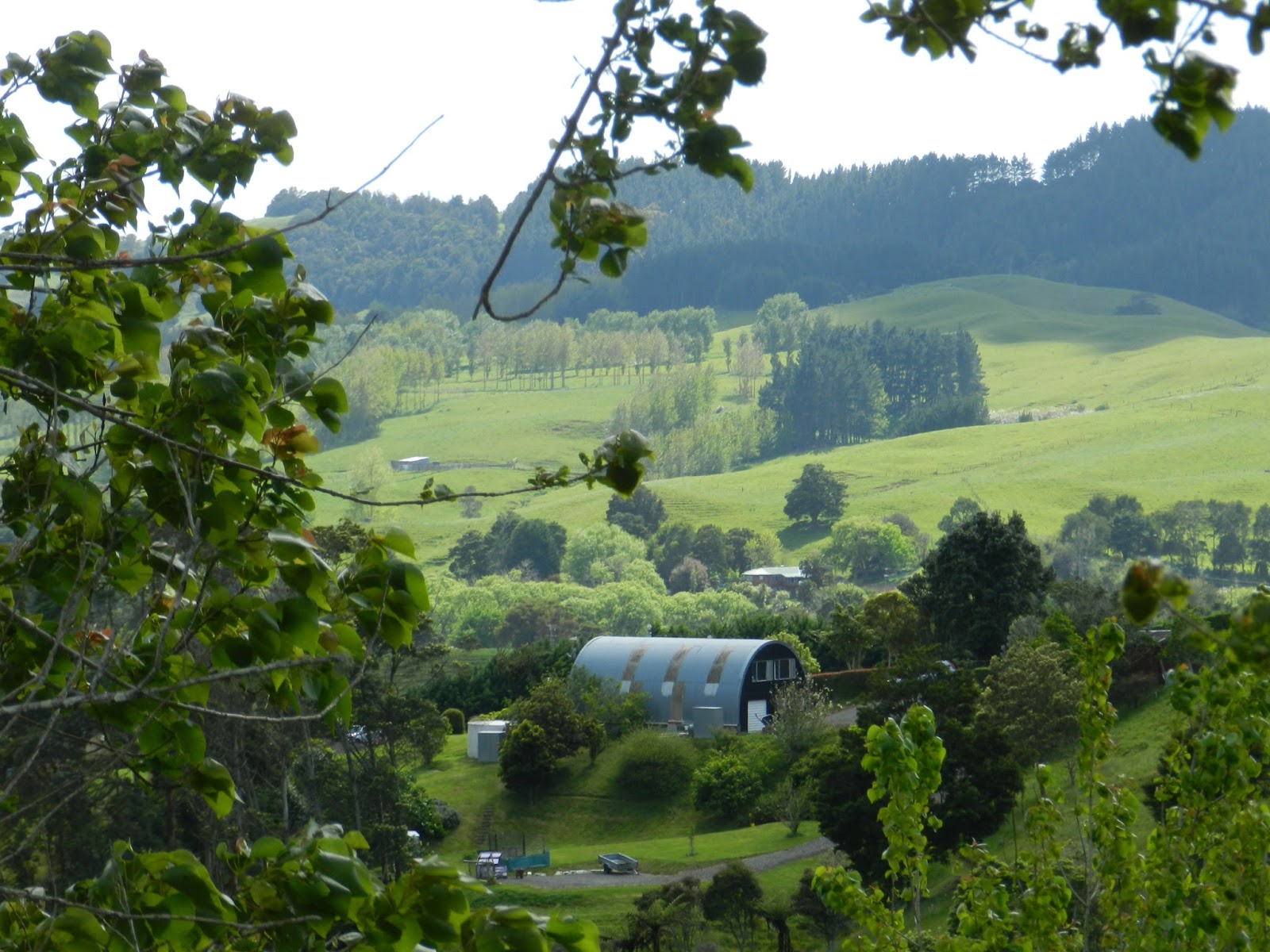 The Paddock Hill top view