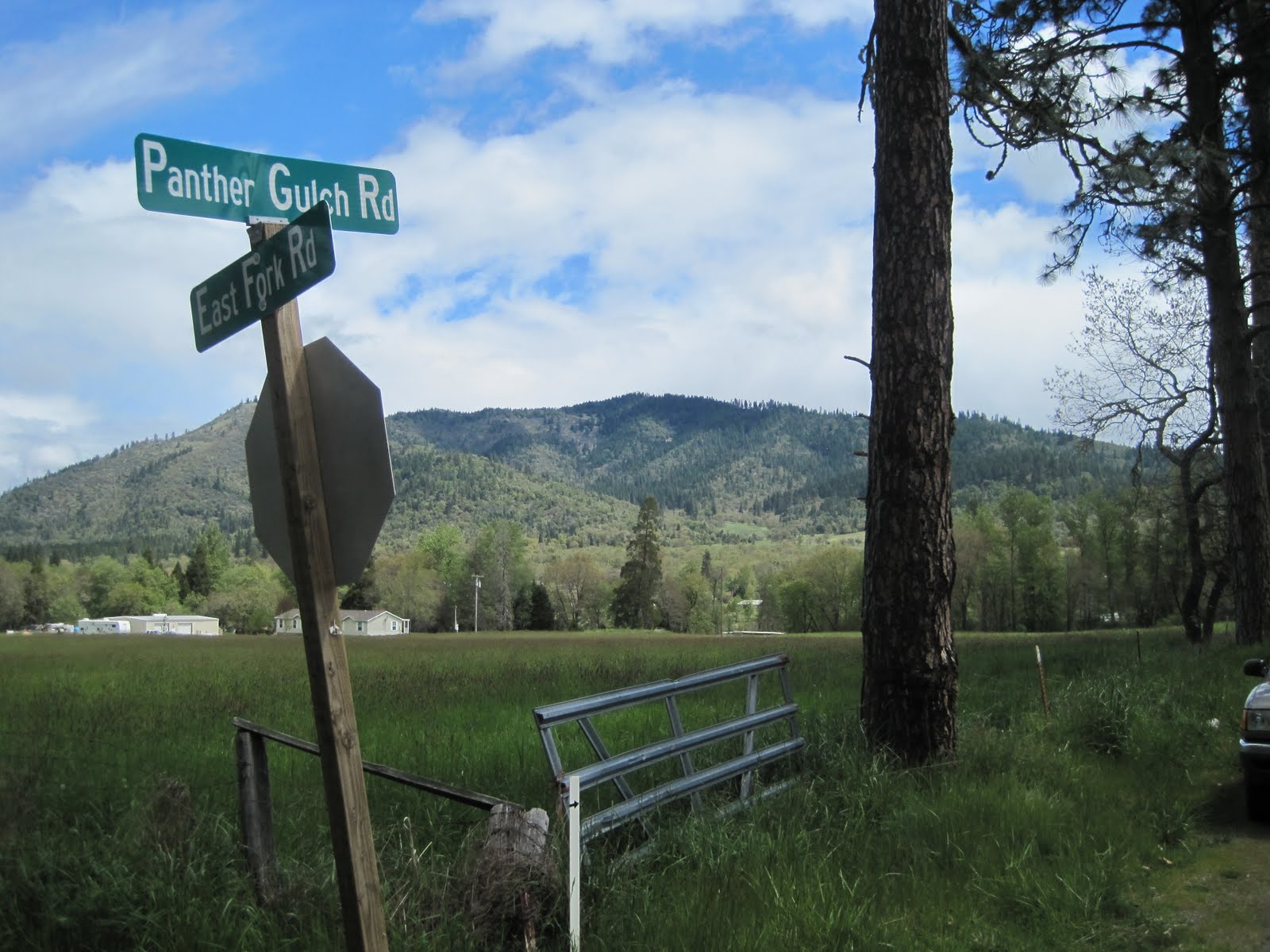 Reinventing the Run Williams, Oregon