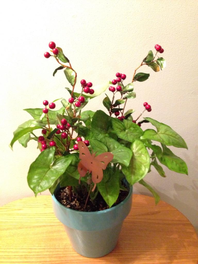 "Goodness in the Garden" Pick a Plant Pick!