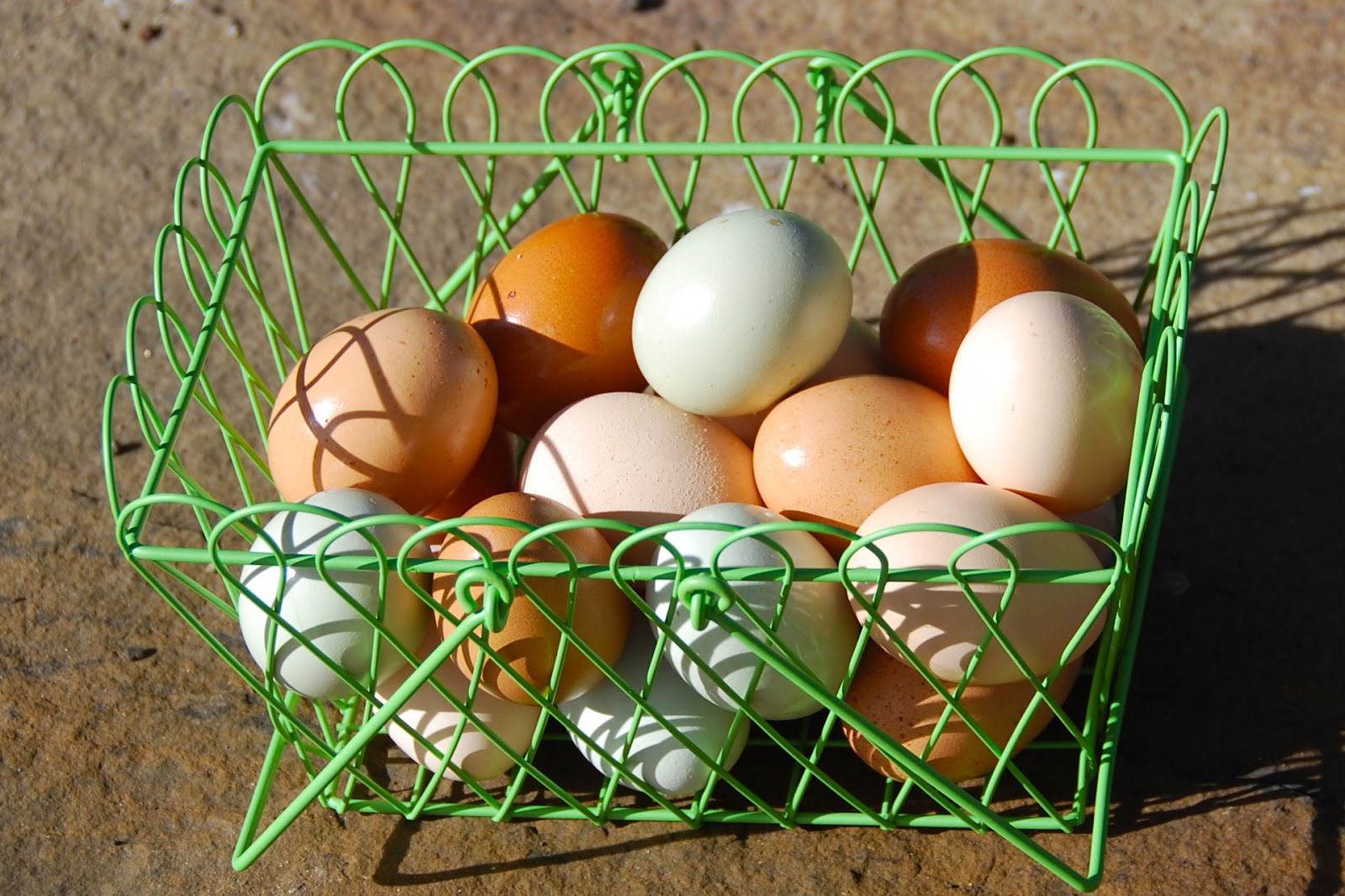 Eggs For Sale!