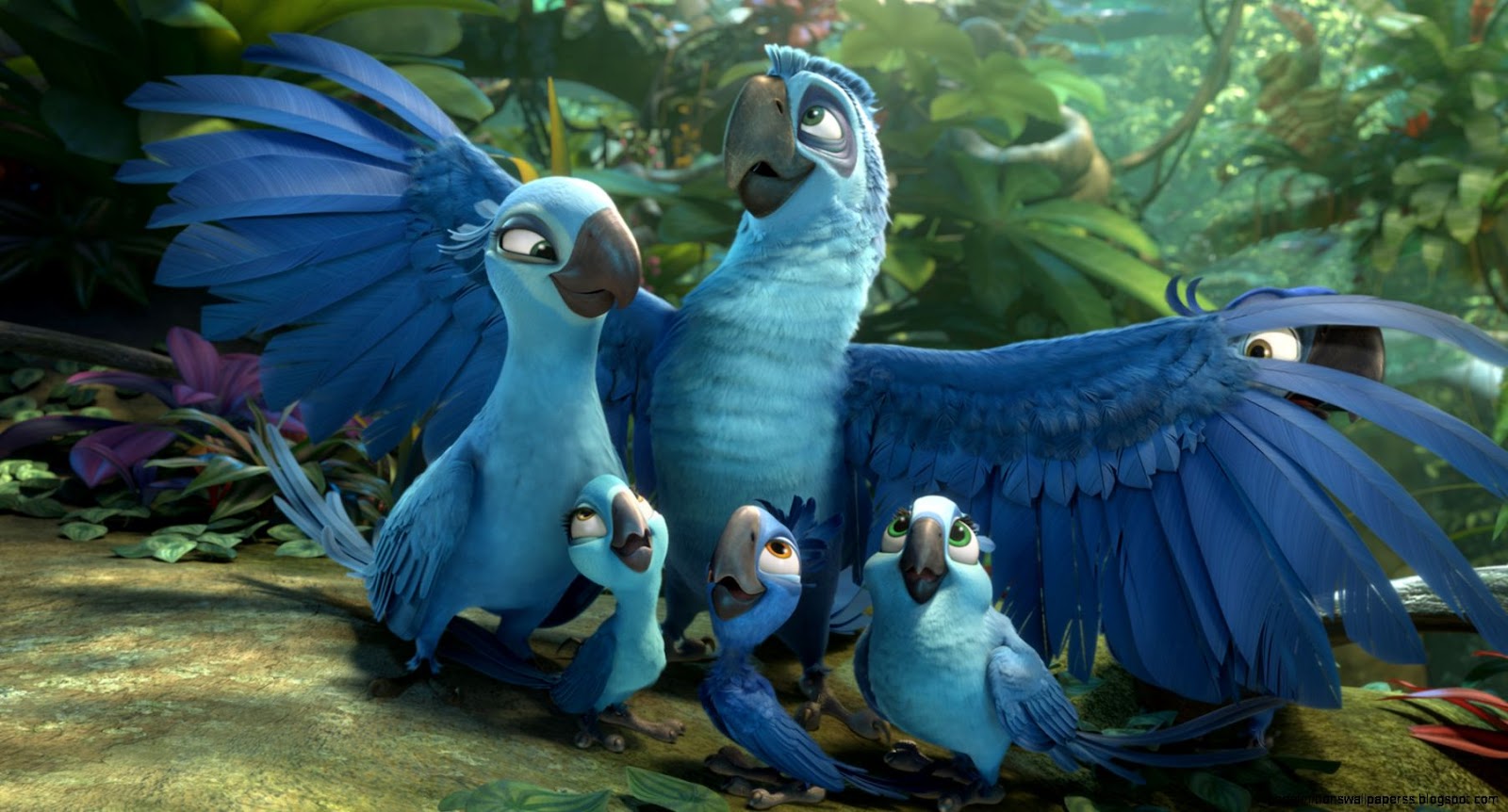 Rio 2 Kids
