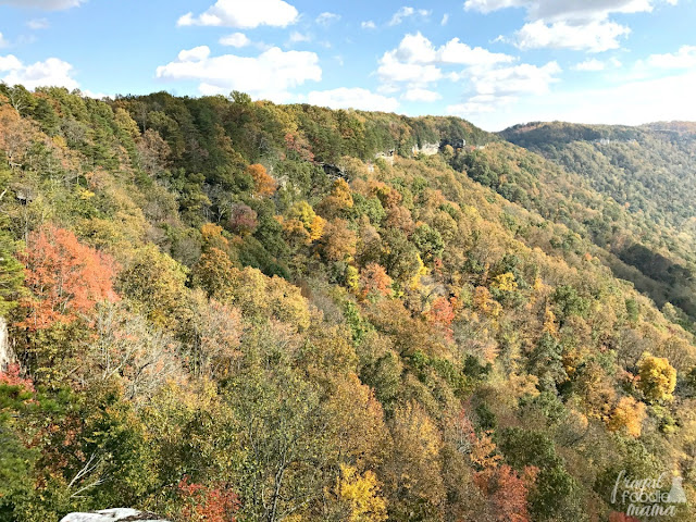 Hugging the rim of the New River Gorge for about 2 miles, the Endless Wall Trail in West Virginia provides hikers with breathtaking vistas by way of its many rocky overlooks and steep cliffs.