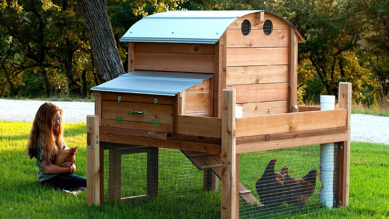 Eglu Omlet Chicken House Chicken Choices