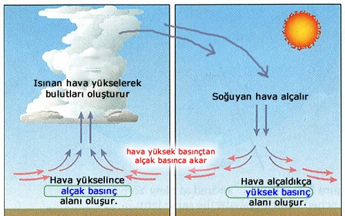 fen bilimleri onur hoca