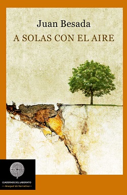 Portada de A solas con el aire de Juan Besada, donde se puede ver un precipicio que se está rompiendo y un árbol en la parte sólida.