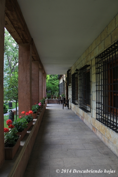 Descubriendo hojas: El jardín del Caserío de Vadillos. Jardines de la